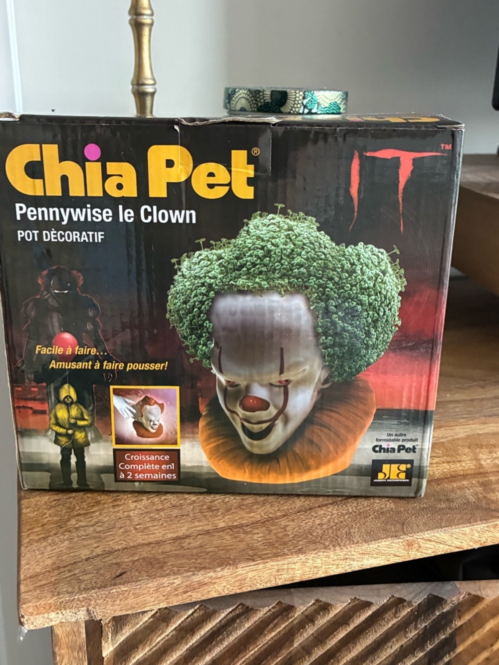 Pennywise Le Clown Decorative Chia Pet Planter - Green Hair